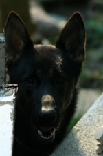 Enlarge photo 18