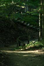 Enlarge photo 19