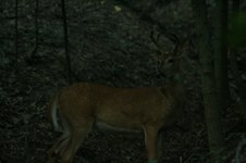 Enlarge photo 28