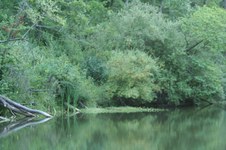 Enlarge photo 35