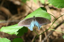 Enlarge photo 51
