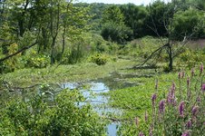 Enlarge photo 54