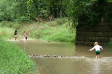 Enlarge photo 36