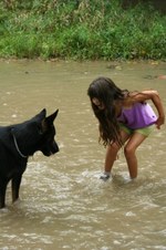 Enlarge photo 40