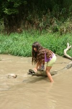 Enlarge photo 42
