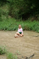 Enlarge photo 43