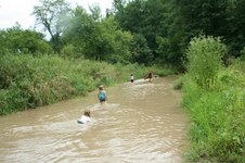 Enlarge photo 44