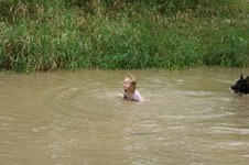 Enlarge photo 45