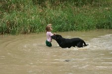Enlarge photo 46