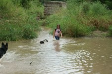 Enlarge photo 48