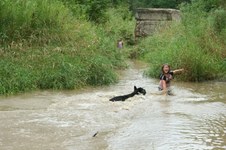 Enlarge photo 49
