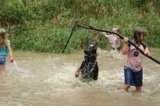 Enlarge photo 50