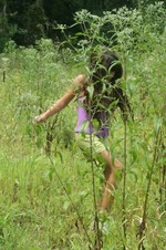 Enlarge photo 52