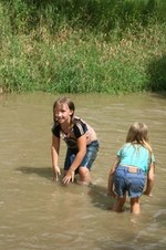Enlarge photo 59