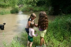 Enlarge photo 65