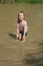 Enlarge photo 66