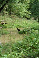 Enlarge photo 73