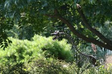 Enlarge photo 3