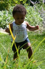 Enlarge photo 22