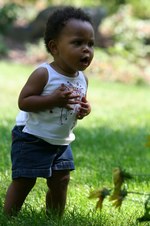 Enlarge photo 31