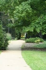 Enlarge photo 12