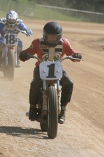 Enlarge photo 381