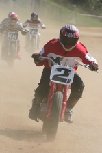 Enlarge photo 387