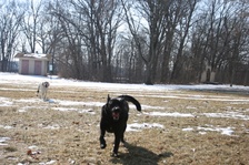 Enlarge photo 7