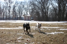 Enlarge photo 9