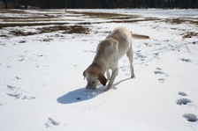 Enlarge photo 22