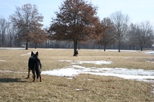 Enlarge photo 25