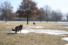 Enlarge photo 26