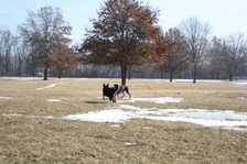 Enlarge photo 27