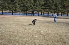 Enlarge photo 29