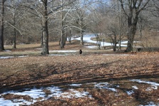 Enlarge photo 30