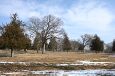 Enlarge photo 34