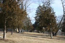 Enlarge photo 35