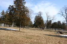Enlarge photo 36
