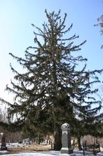 Enlarge photo 39