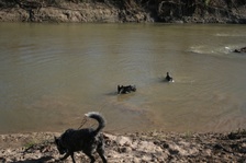Enlarge photo 3