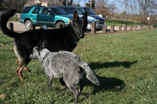 Enlarge photo 11