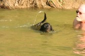 Enlarge photo 25