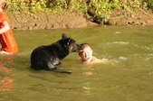 Enlarge photo 44