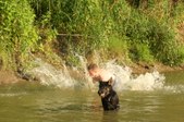 Enlarge photo 51