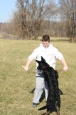 Enlarge photo 9