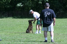 Schultzhound