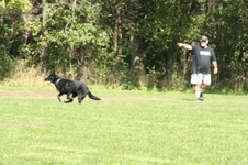 Enlarge photo 3