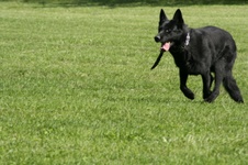 Enlarge photo 5