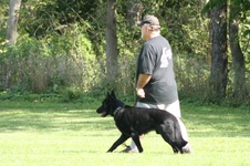 Enlarge photo 17