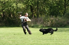 Enlarge photo 20